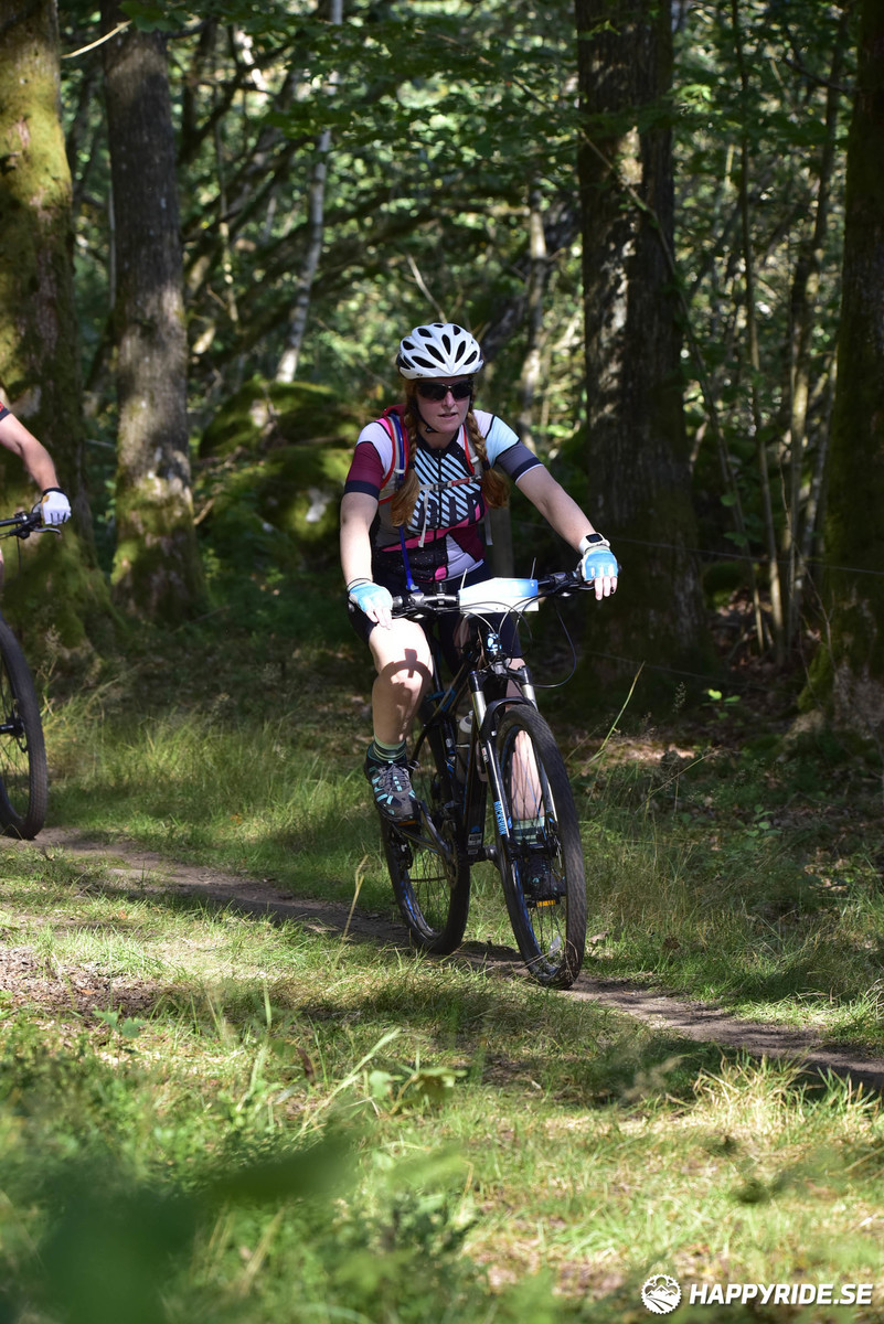 Bild från Bockstensturen 2019